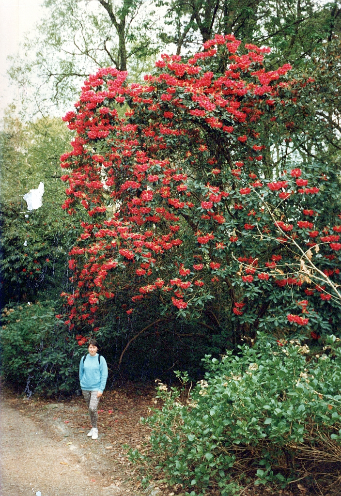 1996 - Grande-Bretagne 53 (Pays de Galles - Portmeirion - Mai 1996).jpg